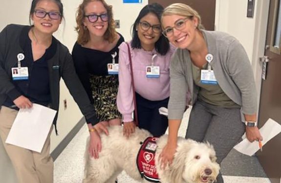 Therapy Dog (NEW)