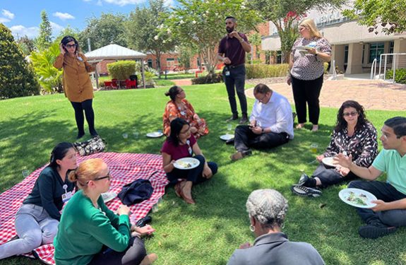 picnic (NEW)